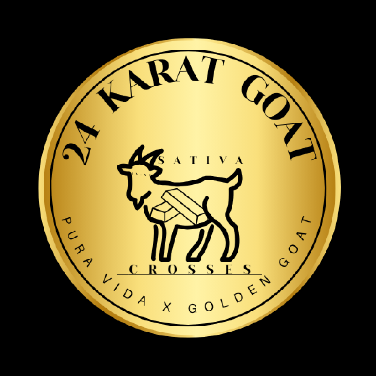 Photograph of product: 24 Karat Goat Cured Sugar | 2g - Four20