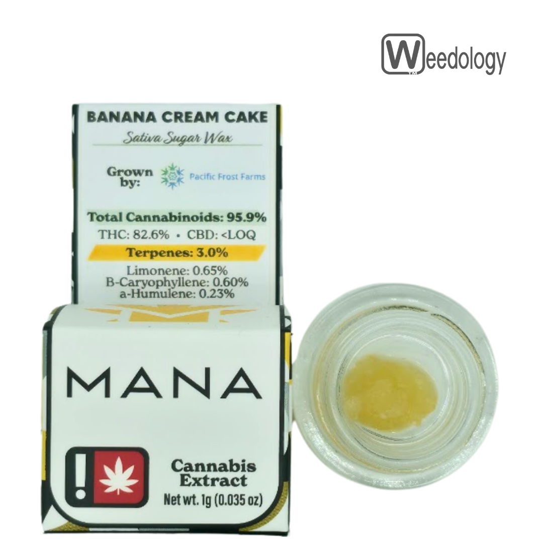Photograph of Product: Mana Extracts 1g BANANA CREAM CAKE Sugar Wax