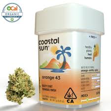 Photograph of product: Coastal Sun Sungrown 7g Quarter - Orange 43 (IH)