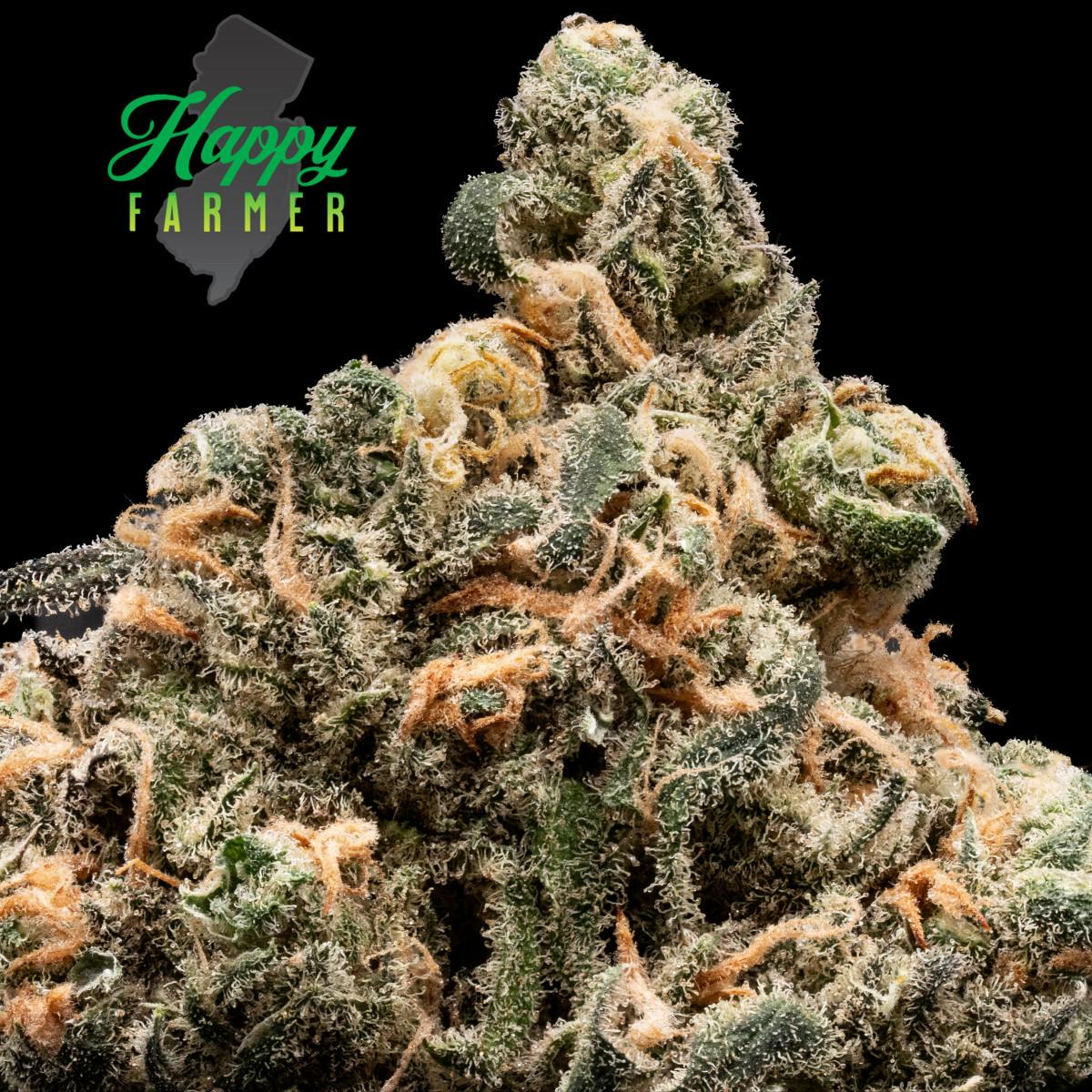 Photograph of product: Blue Dream 3.5g