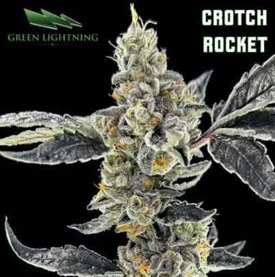 Photograph of product: Green Lightning Small Flower 3.5g- Crotch Rocket