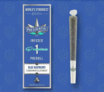 Photograph of product: Presidential Infused Preroll 1g Blue Raspberry