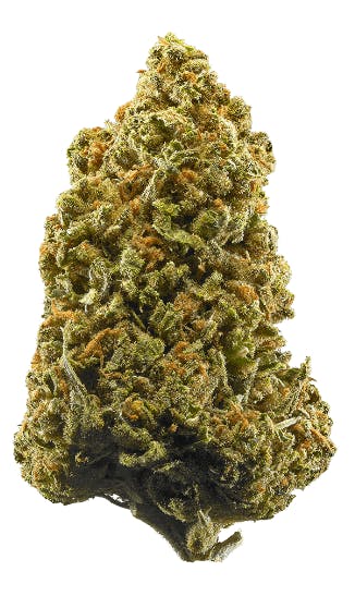Photograph of product: Lamb's Bread 3.5g jar - Eighth