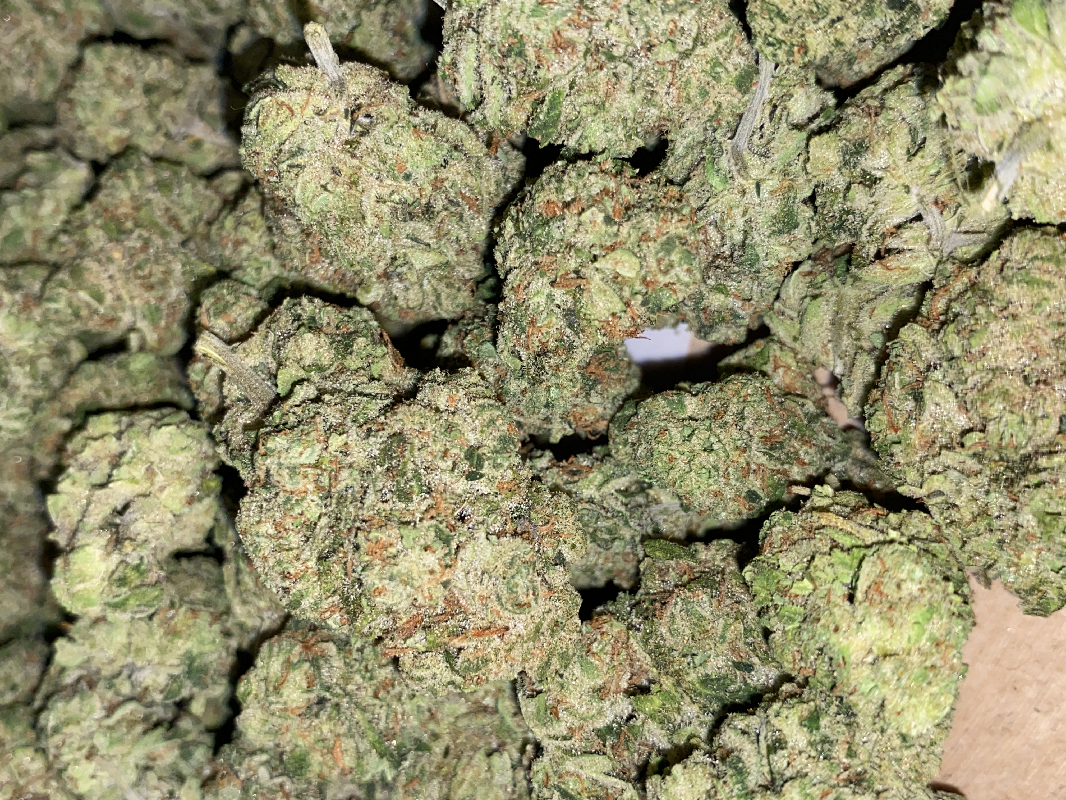 Photograph of product: Sour Lime Haze | Premium Flower - 28g