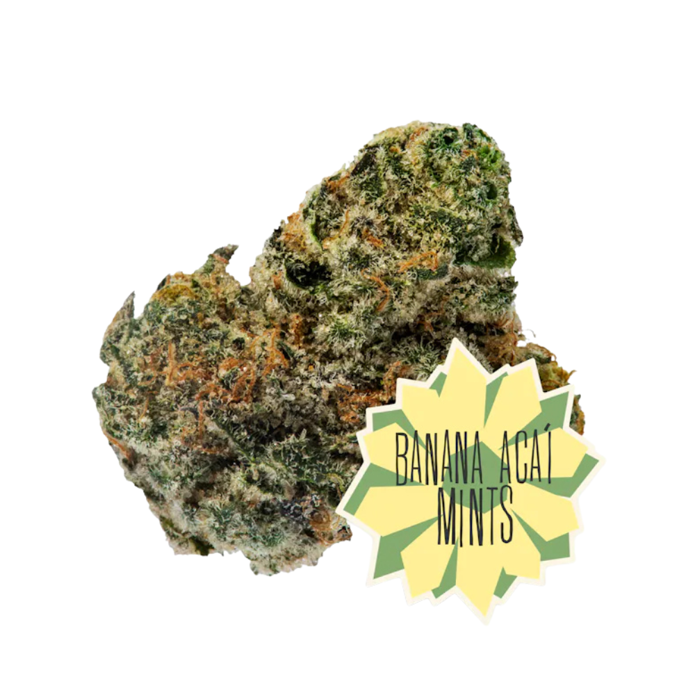 Photograph of product: Banana Aa Mints: Flower (7g) - District Oui'd