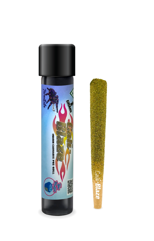Photograph of product: Blue Muffin | Tarantula | Infused Pre-Roll | 1g
