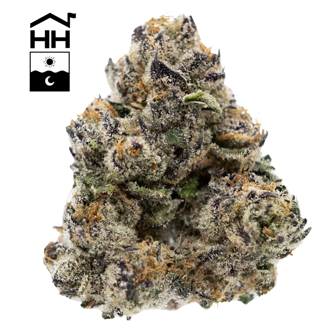 Photograph of product: BigDankLato | 3.5g