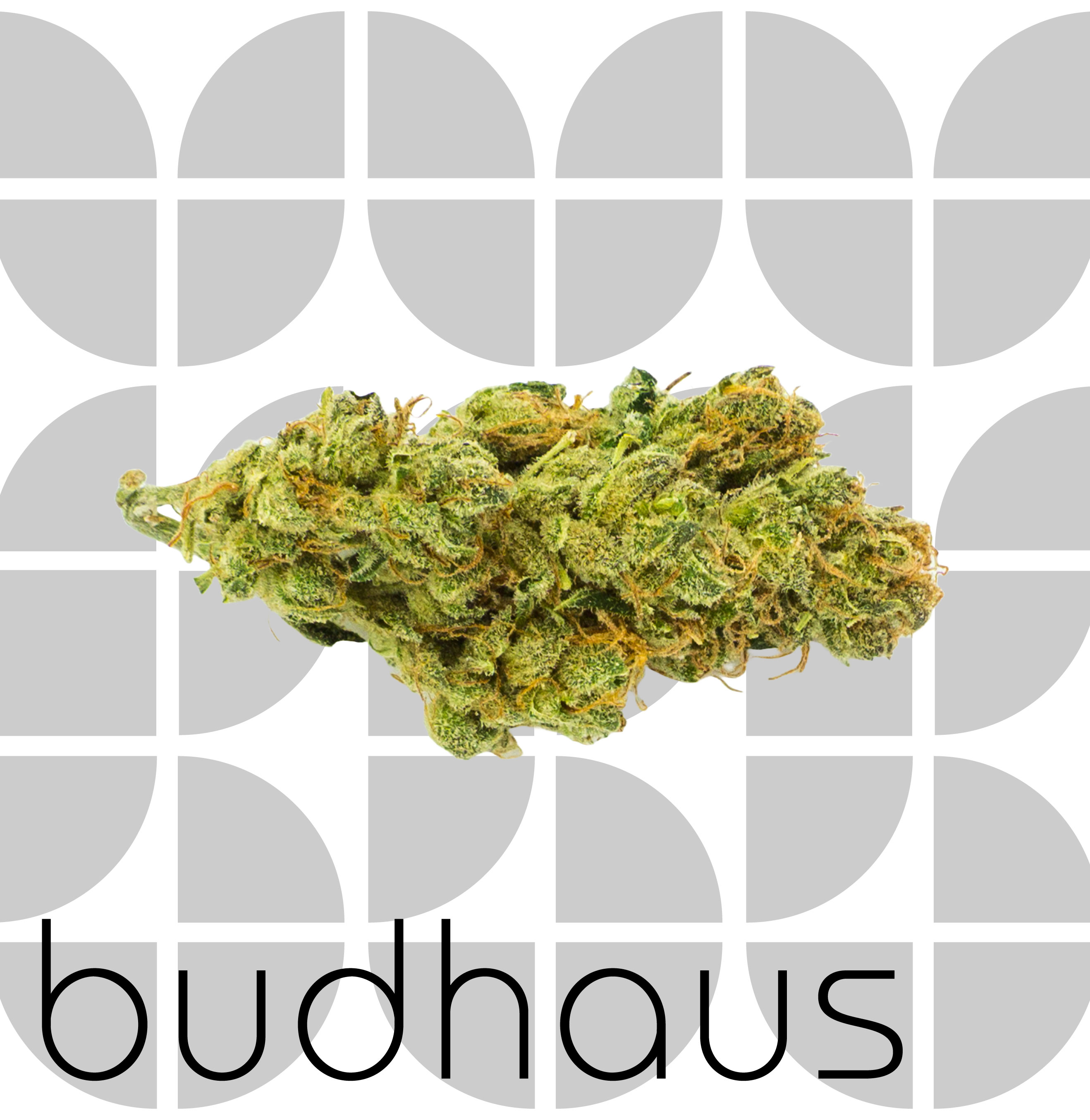 Photograph of product: Lucky Charms - Bud - 1g