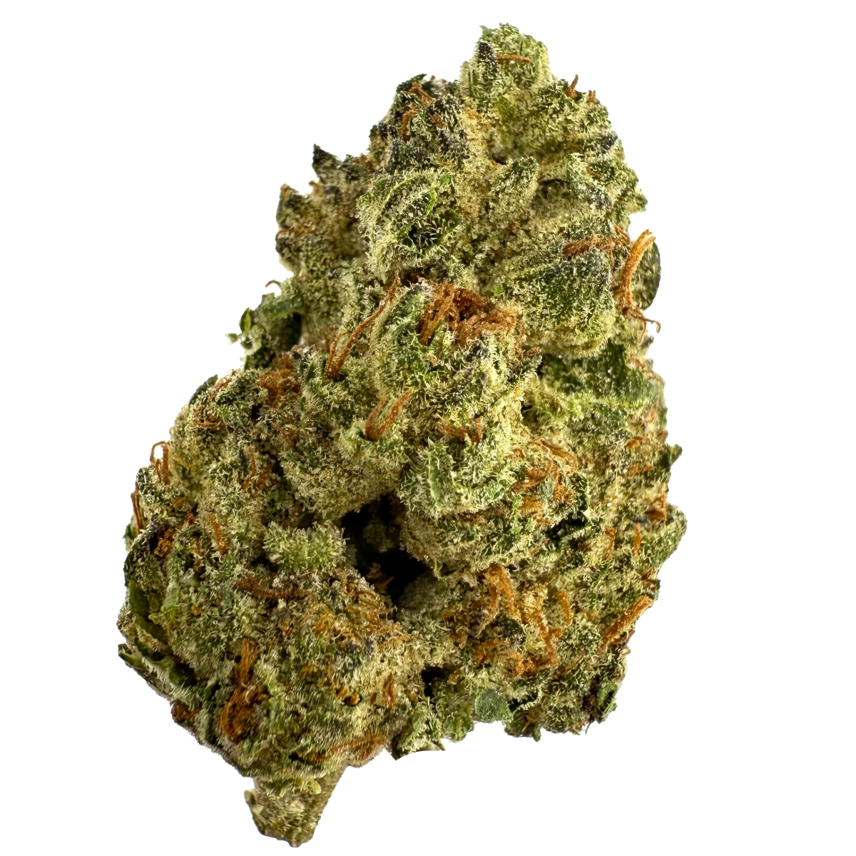 Photograph of product: NATIVE - BLUE LOBSTER 28G