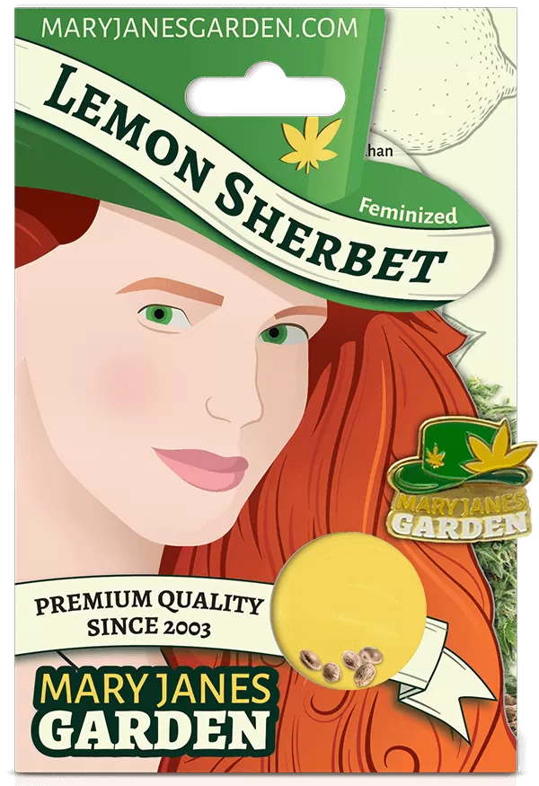Photograph of product: lemon Sherbert Seeds (Fem)