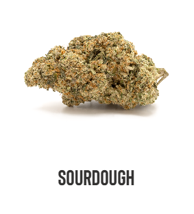 Photograph of product: CAMP 3.5G SOUR DOUGH