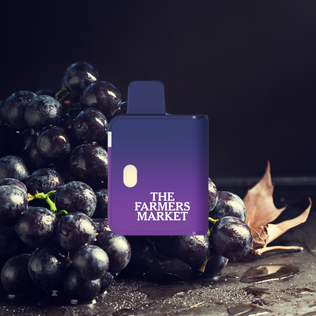 Photograph of product: DISPOSABLE | GRAPE APE | 1G
