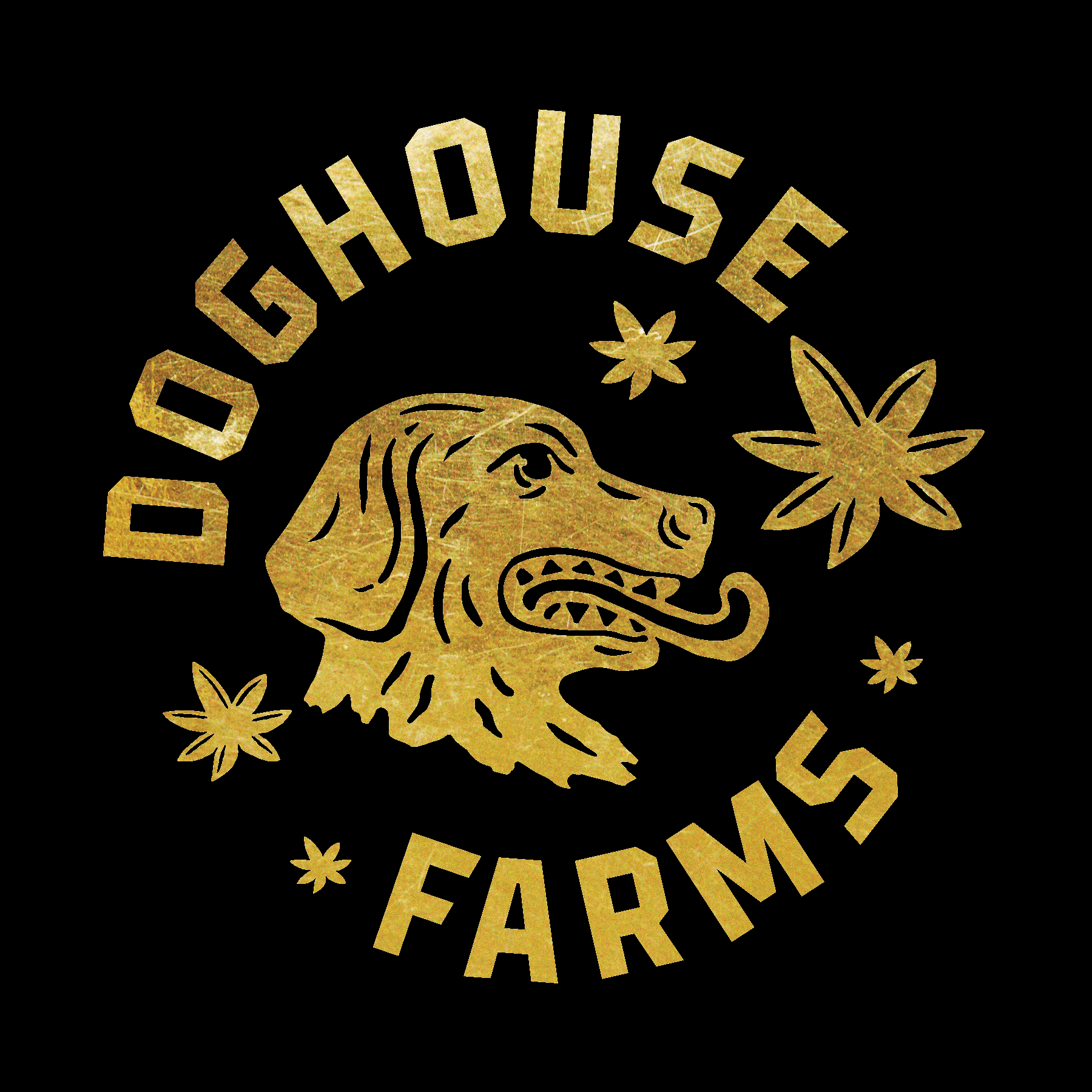 Photograph of product: DOGHOUSE | CALIFORNIA - PREROLL Oui'd/HYBRID