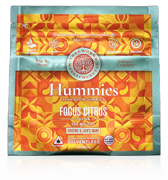 Photograph of product: Focus Hummies I 100mg (10pk)