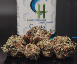 Photograph of product: Purple Chem - 1g