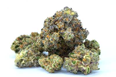 Photograph of product: Glorious | Grandpa's RPG Flower - 28g