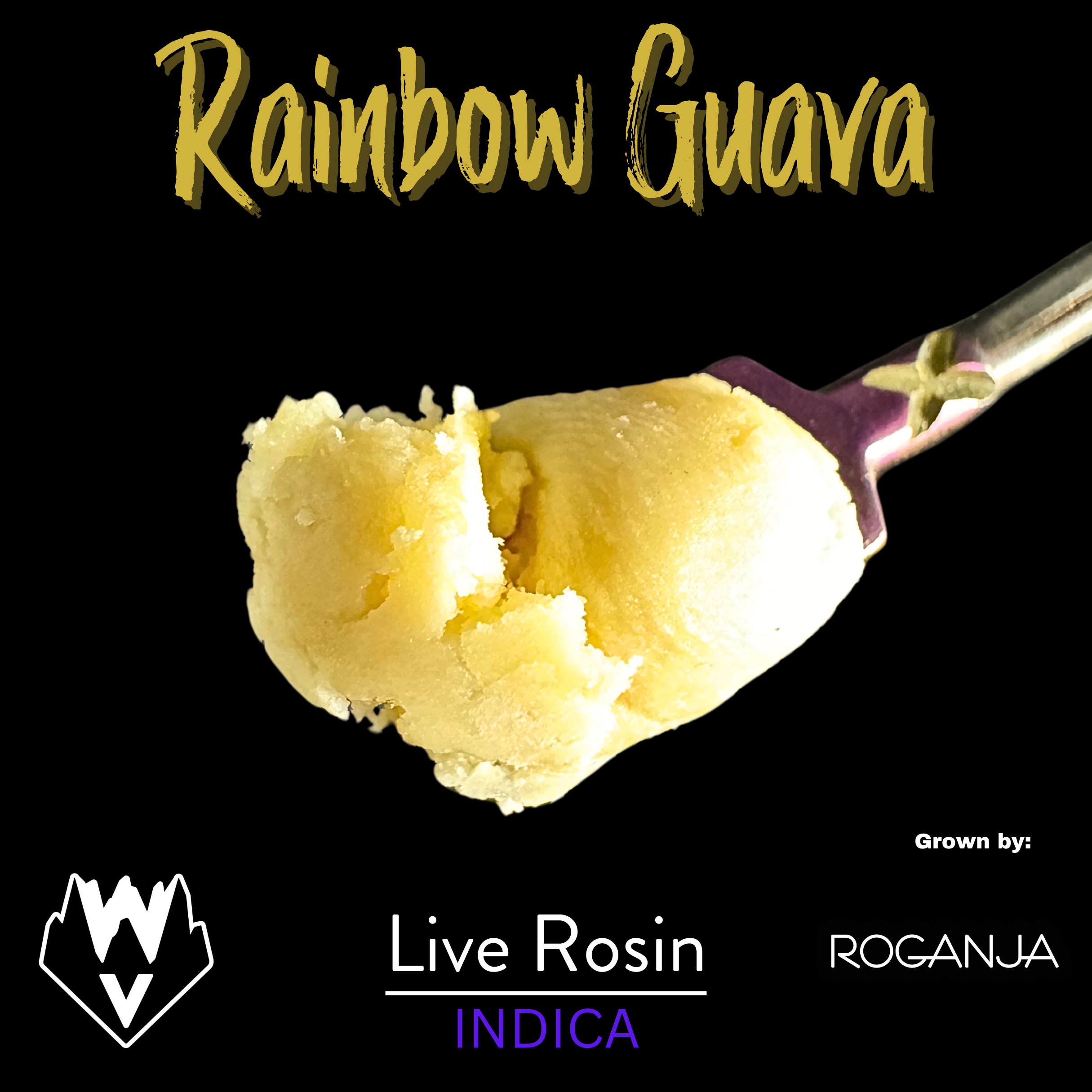 Photograph of product: Willamette Valley Alchemy - Live Rosin Badder - Rainbow Guava