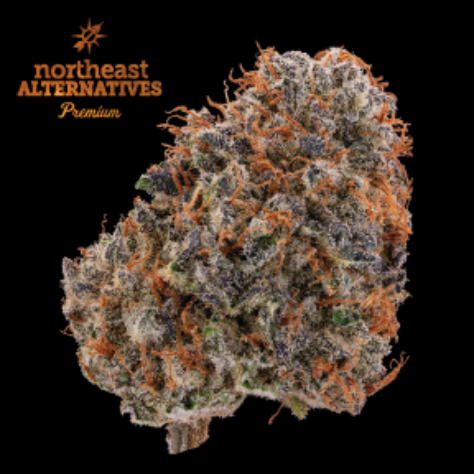 Photograph of product: Cherry Punch (3.5g Flower)