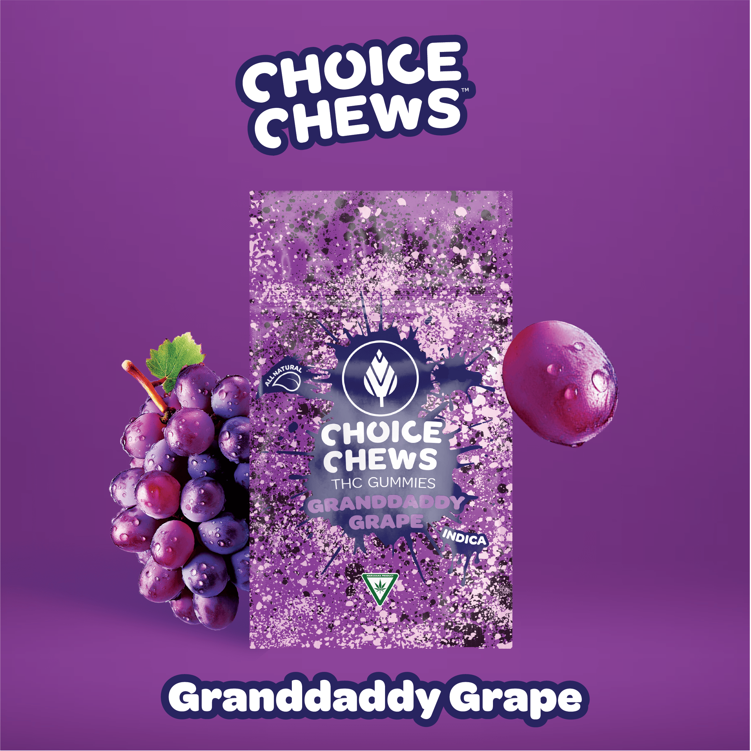 Photograph of product: Granddaddy Grape | Oui'd TH-oui | Gummies | 10mg | 10pk