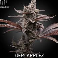 Photograph of product: Dem Apples - 3.5g
