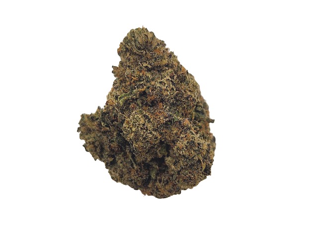 Photograph of product: Gelato #41 - 28g
