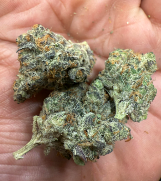Photograph of product: REVOLUTION - SPICY DUNKER (7G) (H)