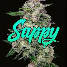 Photograph of product: WT | Sappy | Buds | Prepacked Quarter Ounce | - Moon ARC | H