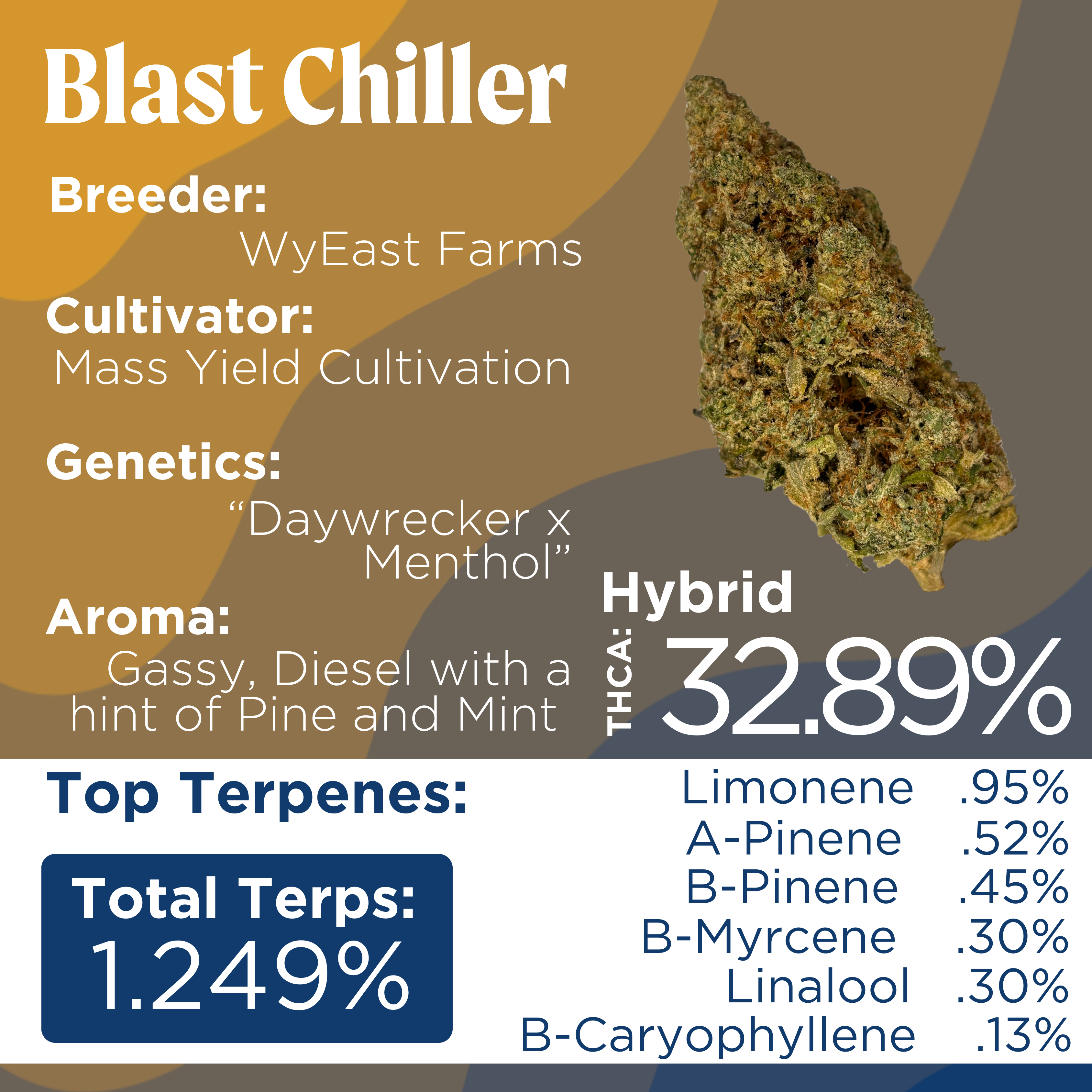 Photograph of product: Deli Style | Blast Chiller - Hybrid - 14g