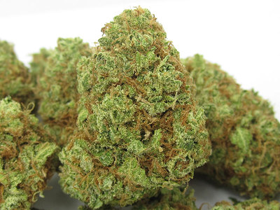 Photograph of product: KMB Farms | Flower (A Bud) | Nigerian Amnesia | Oui'd - 7g
