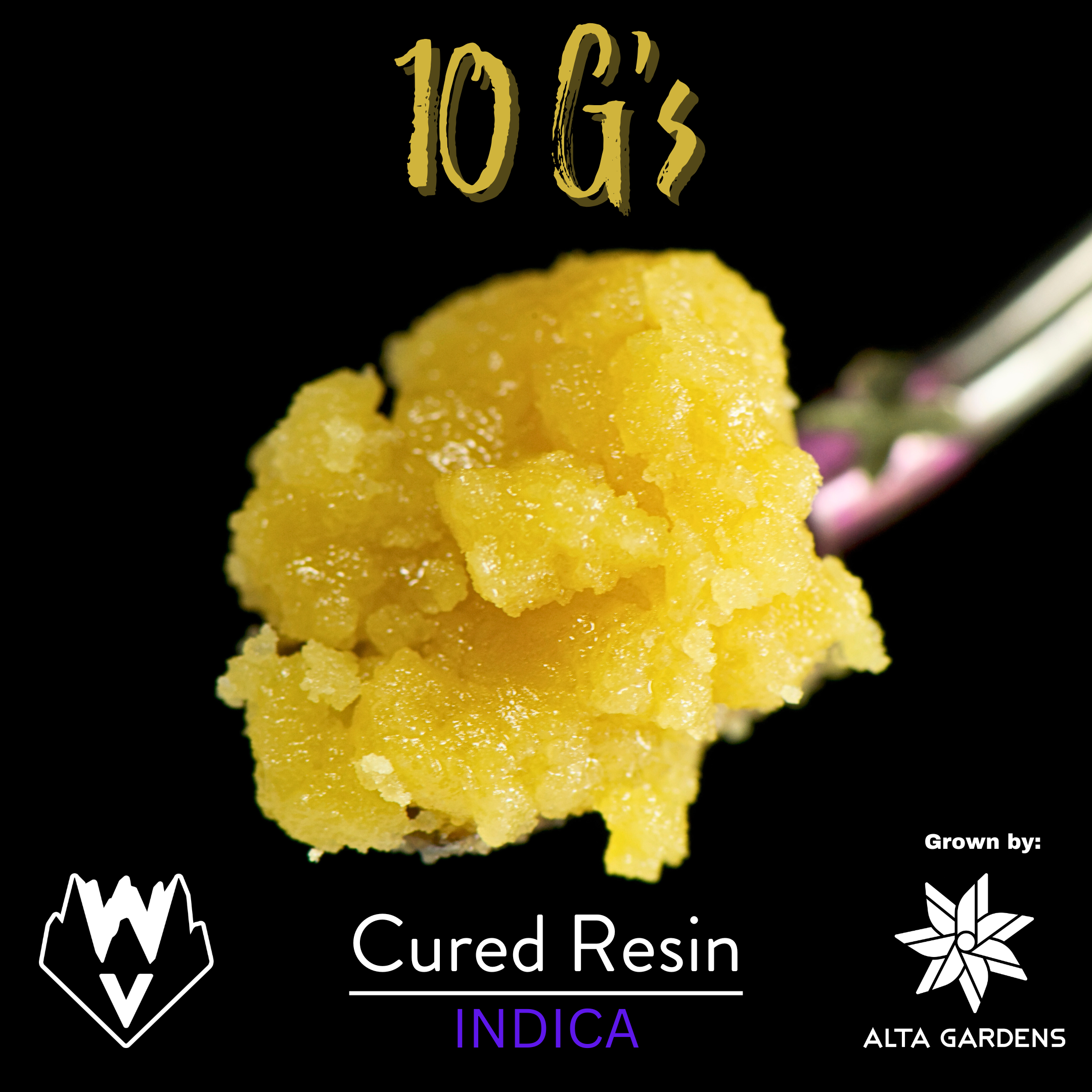 Photograph of product: WVA 10 G's Cured Resin