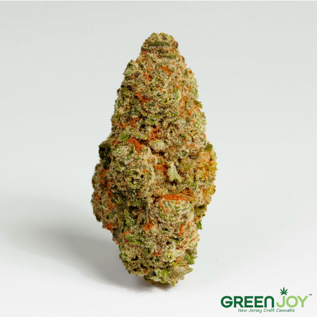 Photograph of product: Mimosa -  All Flower Buds - 1g