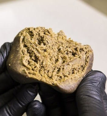 Photograph of product: Greenery - (H) Moroccan au chocolat - 1337 OG