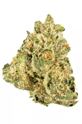 Photograph of product: Codes Jungle Pie Flower | 3.5g