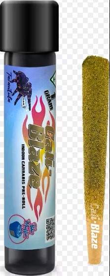 Photograph of product: AU Cali-Blaze: Blue Muffin Tarantula