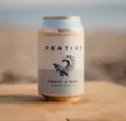 Photograph of product: Pentire Tonic