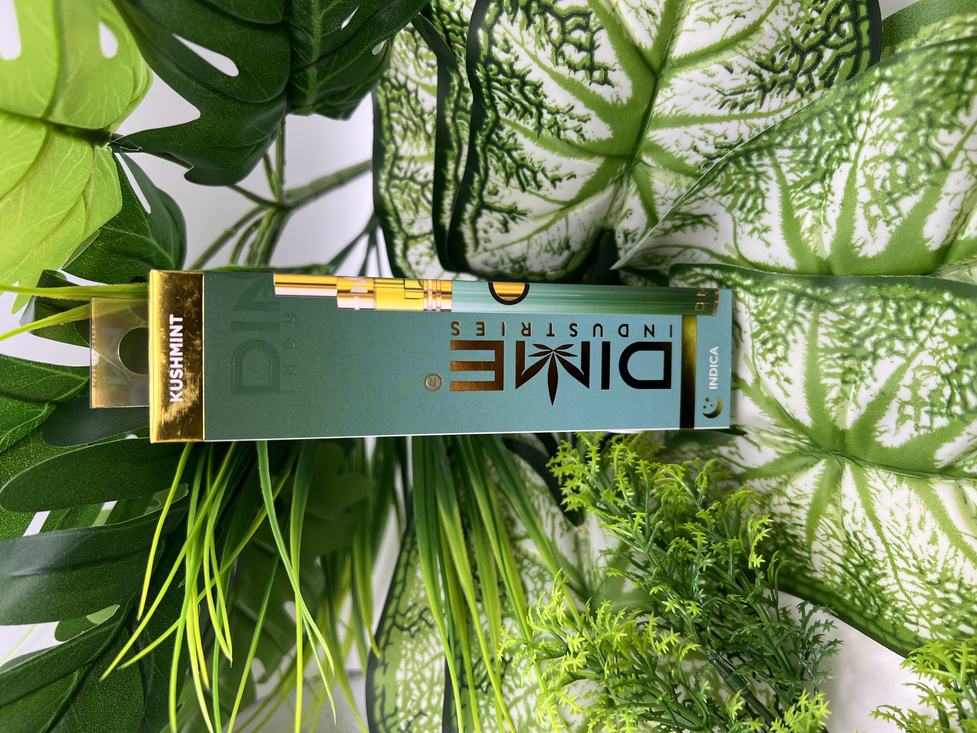 Photograph of product: Dime - Kushmints - 1g Live Resin Disposable