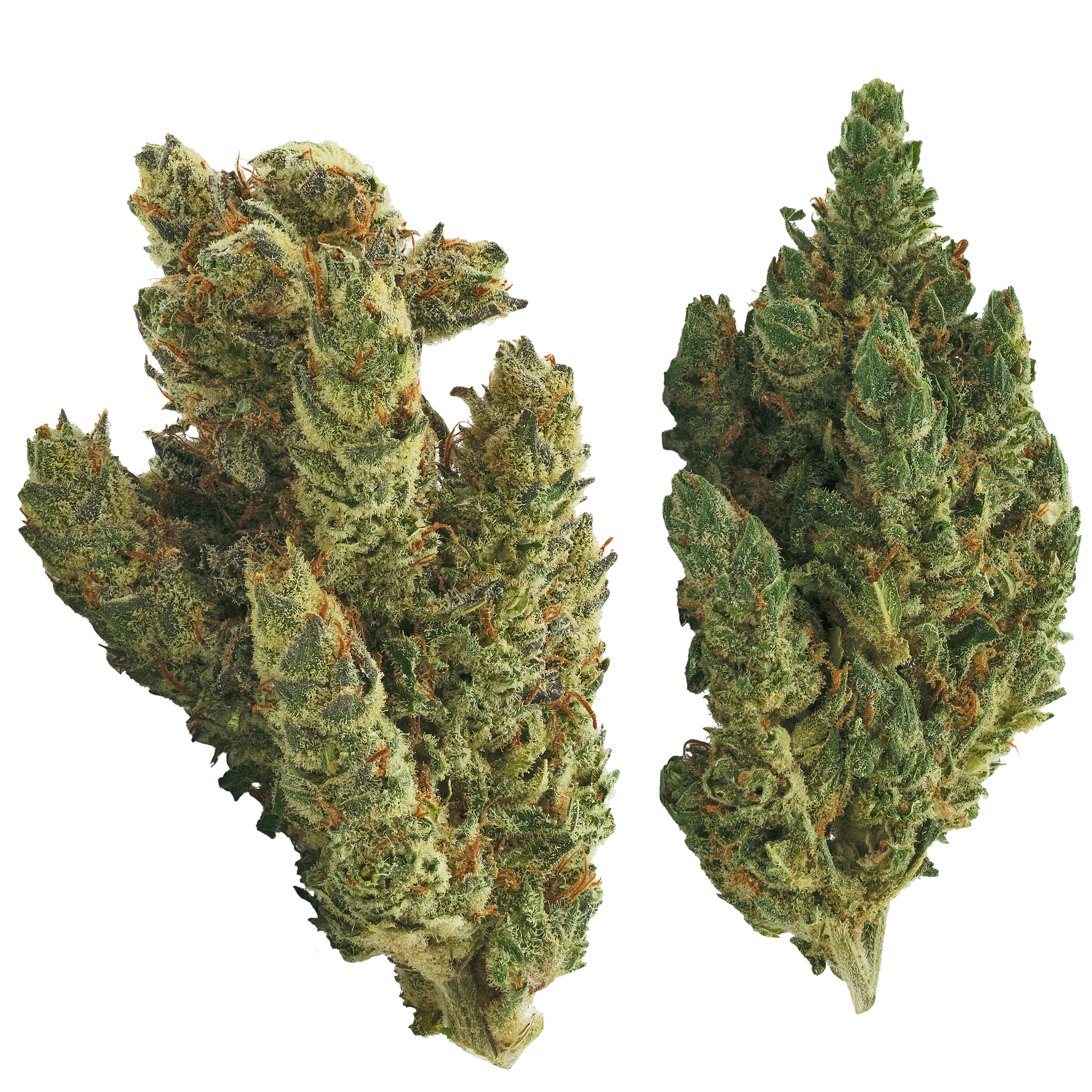 Photograph of product: Planet of the Grapes - 3.5g