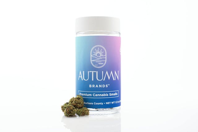 Photograph of product: OGZ | 14g - 