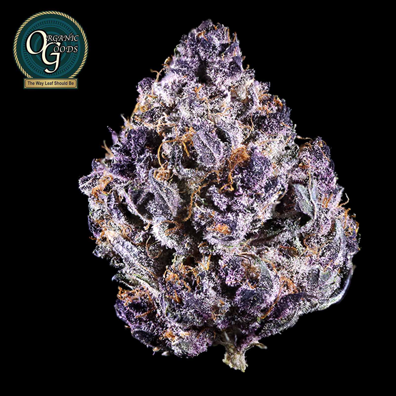 Photograph of product: Trop Cherry cultivated by Iron Lung - 3.5g