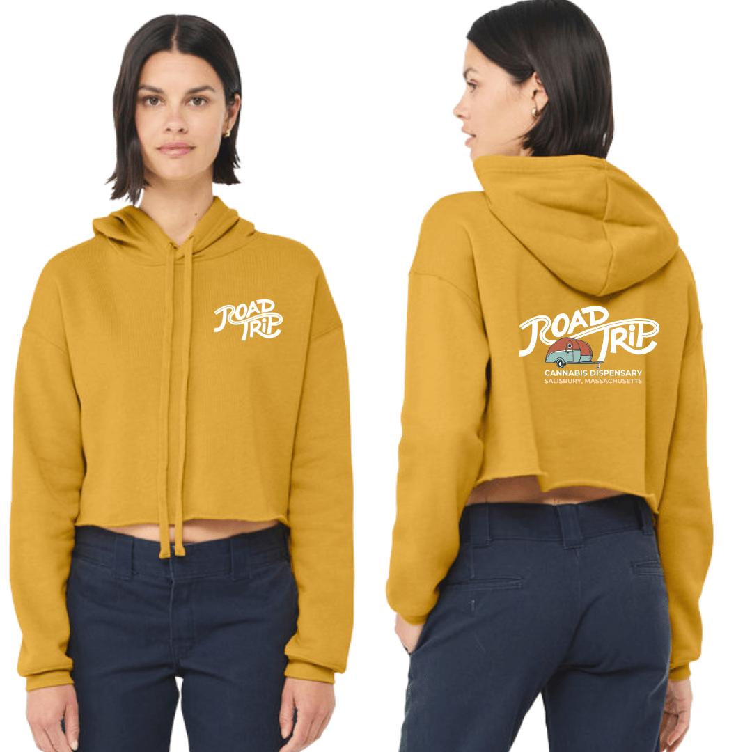 Photograph of product: Sweatshirt Cropped | Mustard | XL