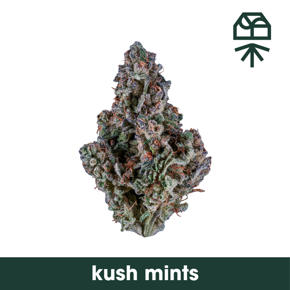 Photograph of product: Kush Mints Whole Flower - 3.5g