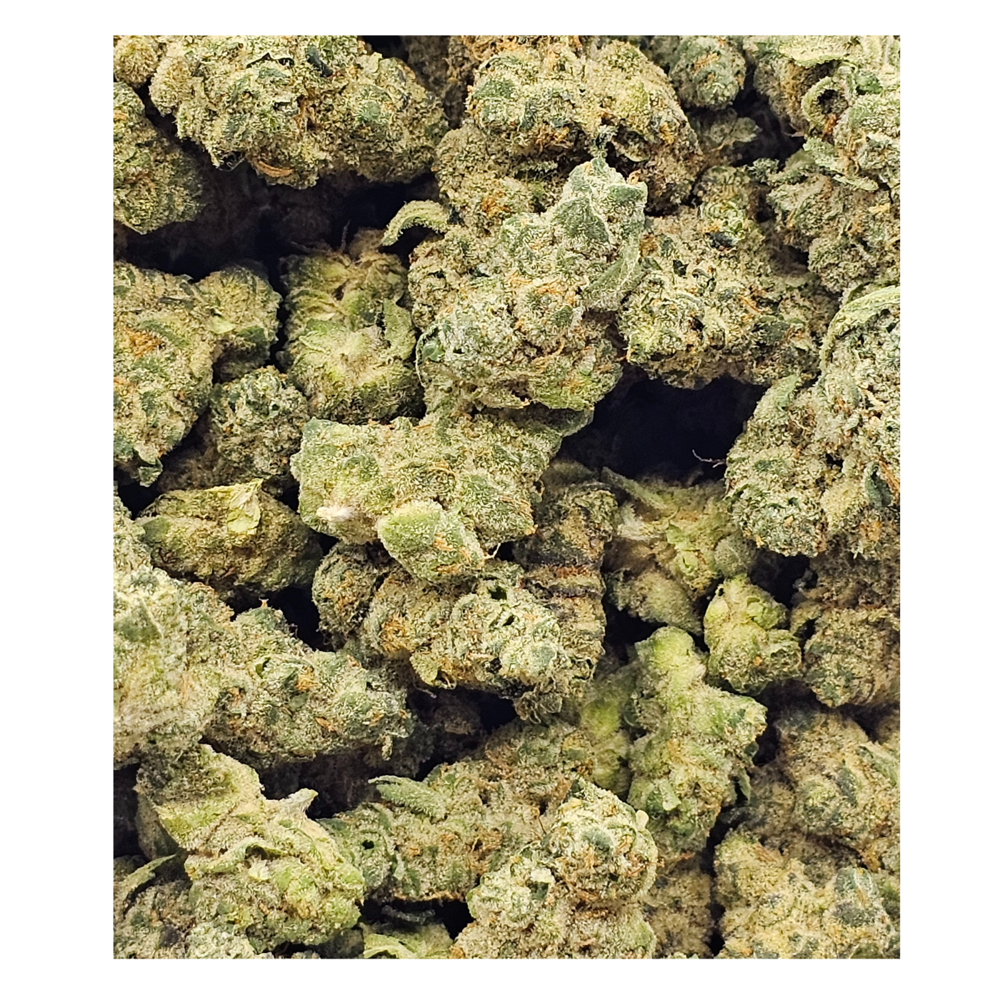 Photograph of product: Gas Tier Deli - Merlins Nightshade - 28g