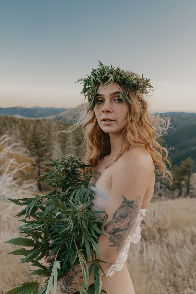 Photograph of product: Art - Harvest