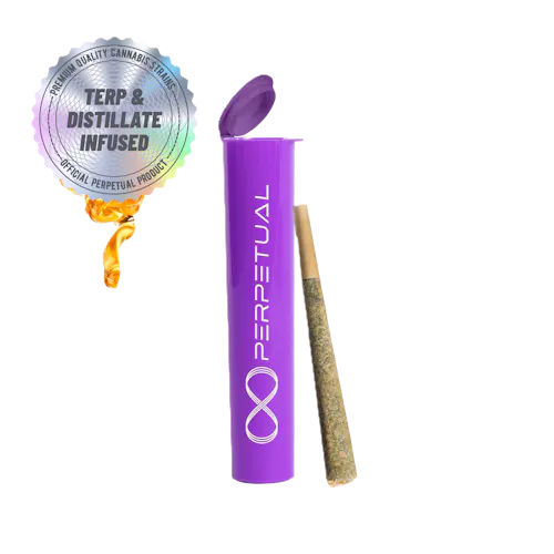Photograph of product: Infused Pre-Roll - Jack Herer - 1g