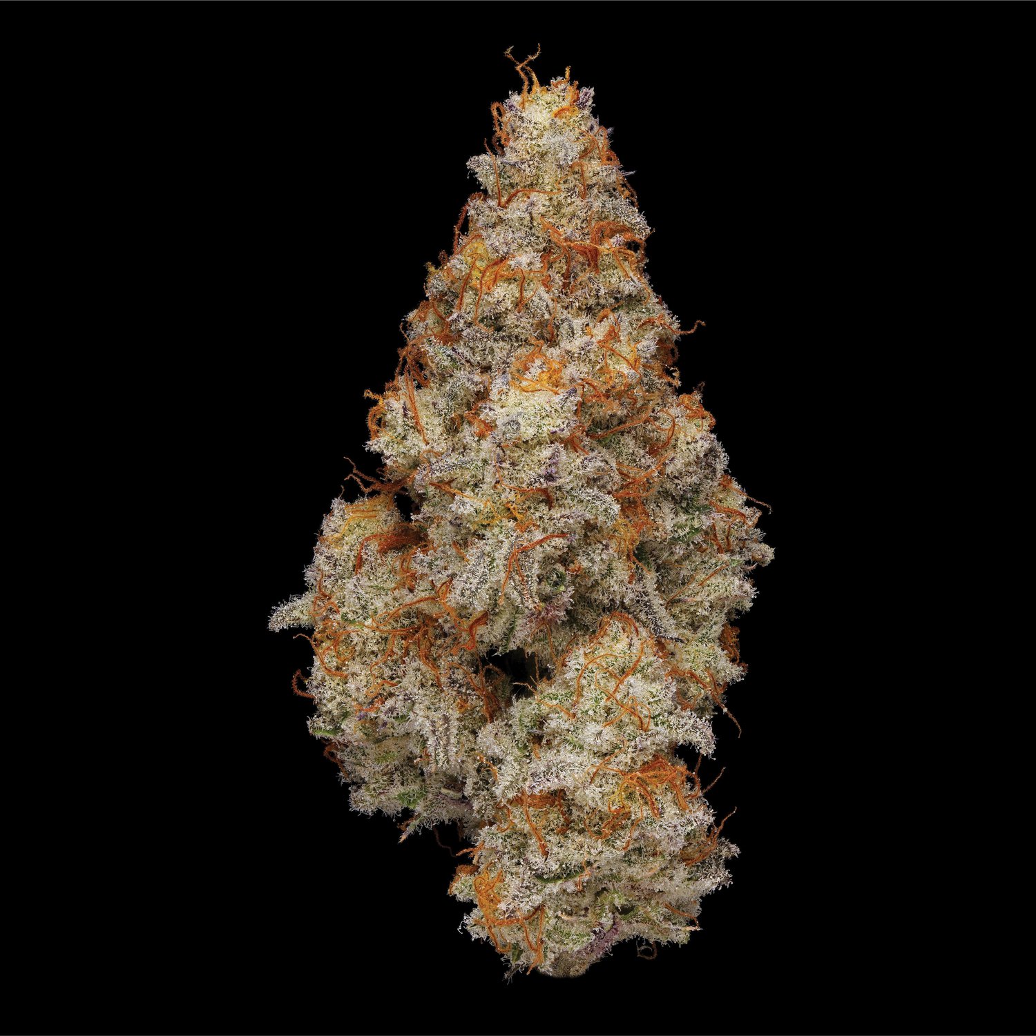 Photograph of product: Miracle Alien Cookies (DOH) - 7g