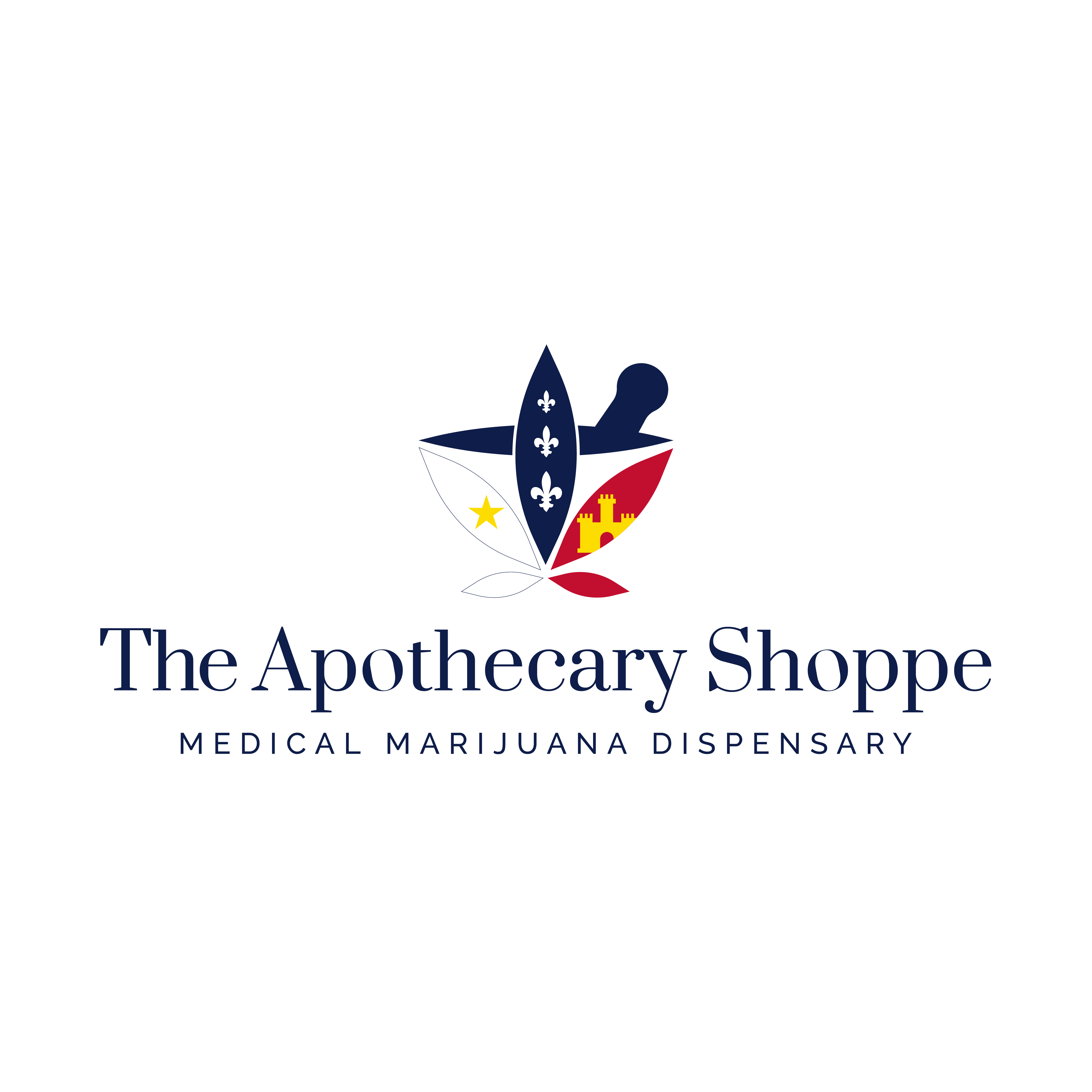 Photograph of product: THE APOTHECARY SHOPPE MAXI BIC LIGHTER
