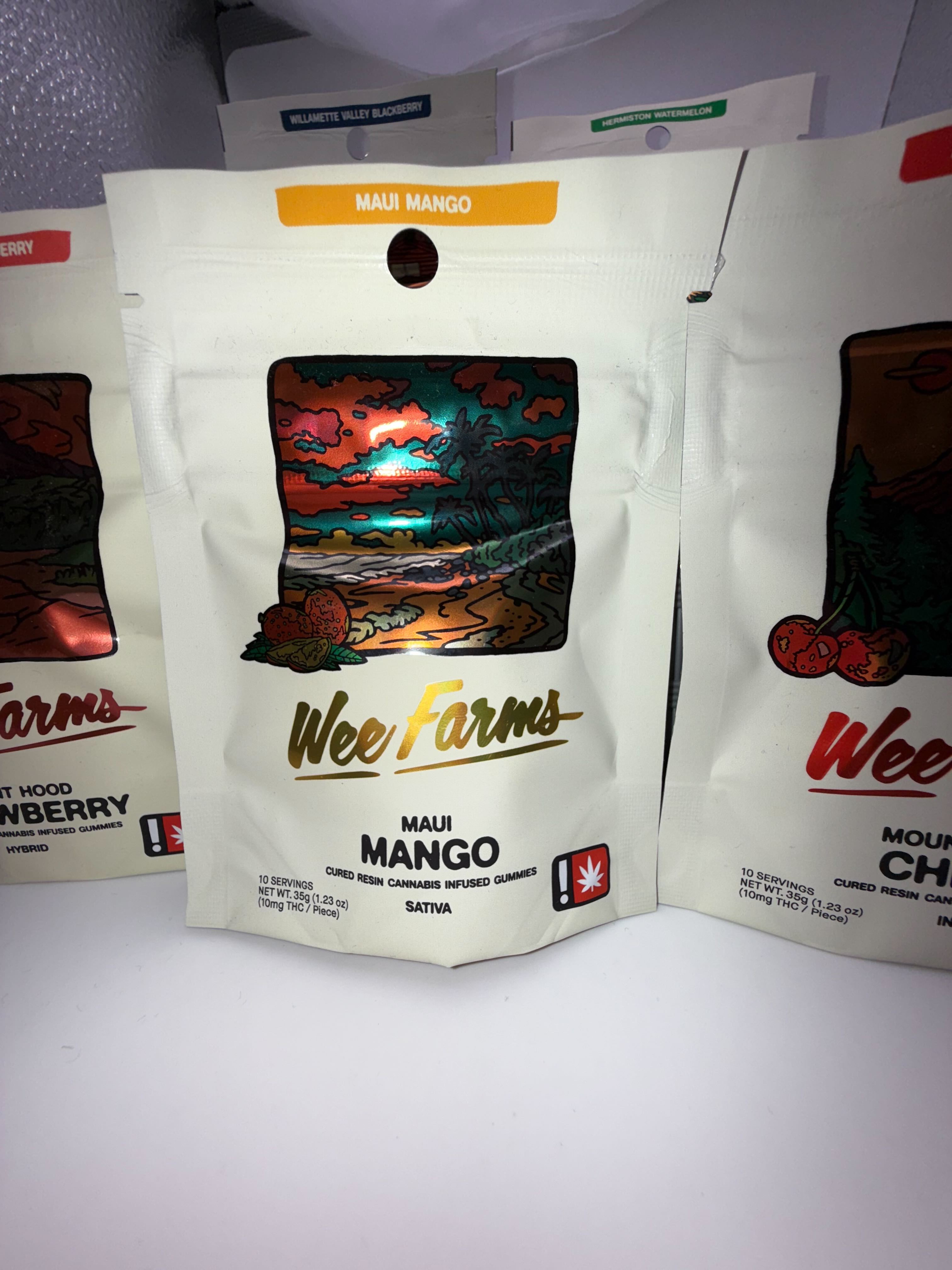 Photograph of product: Gummy | Mango | 10-Pack