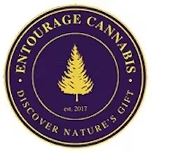 Photograph of product: CBDISCOVERY - EXTRACT - SUGAR WAX- 1G - Oui'd - FORBIDDEN BOOF