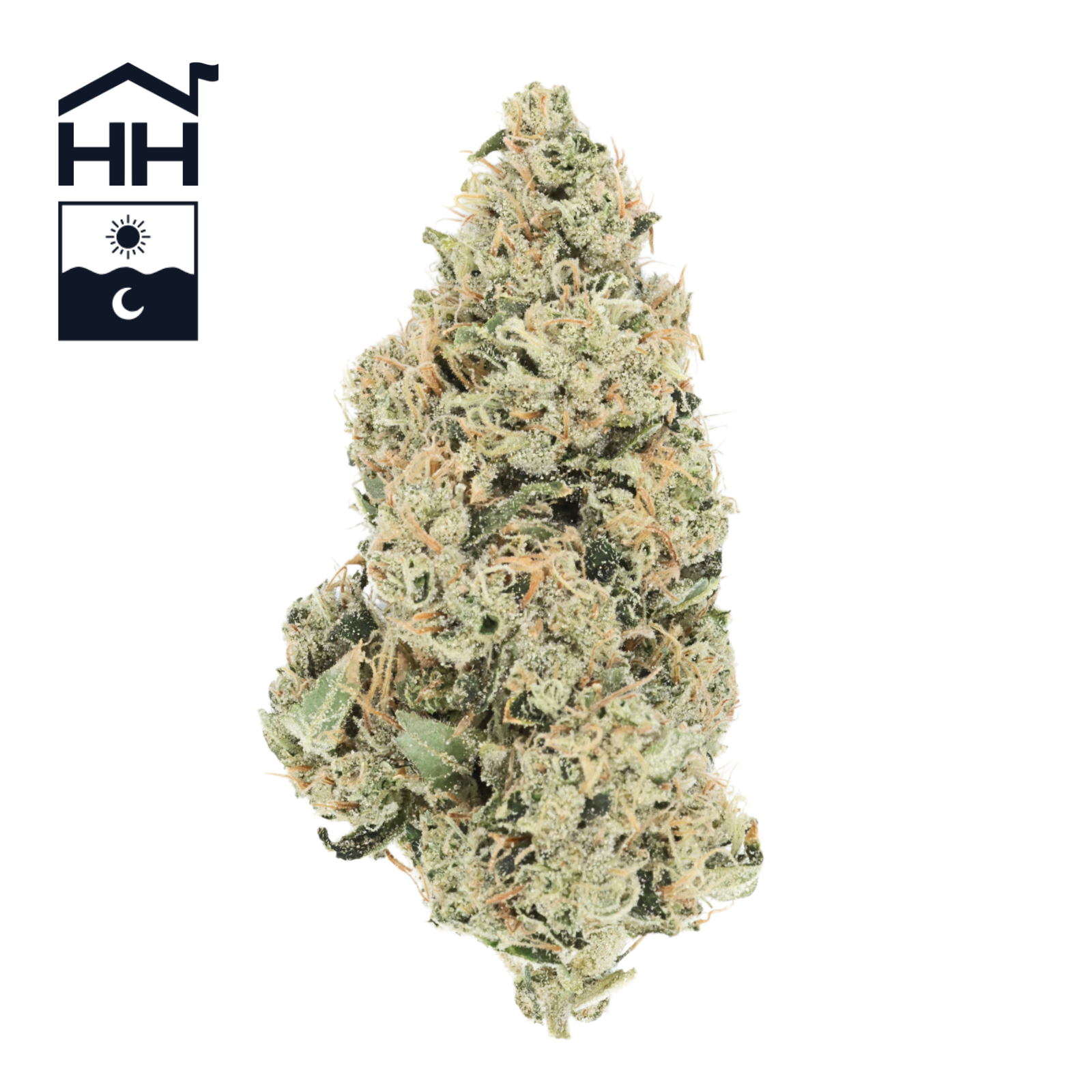 Photograph of product: Aspen OG | - 7g