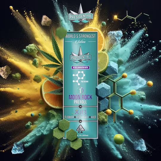 Photograph of product: Presidential | XJ-13 (H) IPR